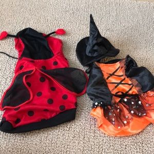 Ladybug and Witch costume